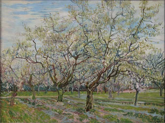 The White Orchard
